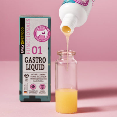 Das FAVLY Petfood GASTRO Liquid - Probiotika & Darmflora wird elegant in eine kleine, durchsichtige Flasche gefüllt, wobei die farbenfrohe Verpackung im Hintergrund hervorgehoben wird. Dieses Produkt wurde entwickelt, um die Verdauung zu unterstützen und eine gesunde Darmflora zu fördern und bietet wichtige Vorteile für die Verdauungsgesundheit Ihres Haustiers.