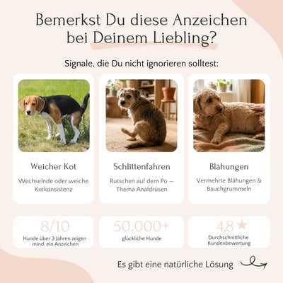 Drei Hundebilder zeigen Warnzeichen wie weiche Kot. FloraVITAL Pulver von FAVLY Petfood hilft der Darmflora.