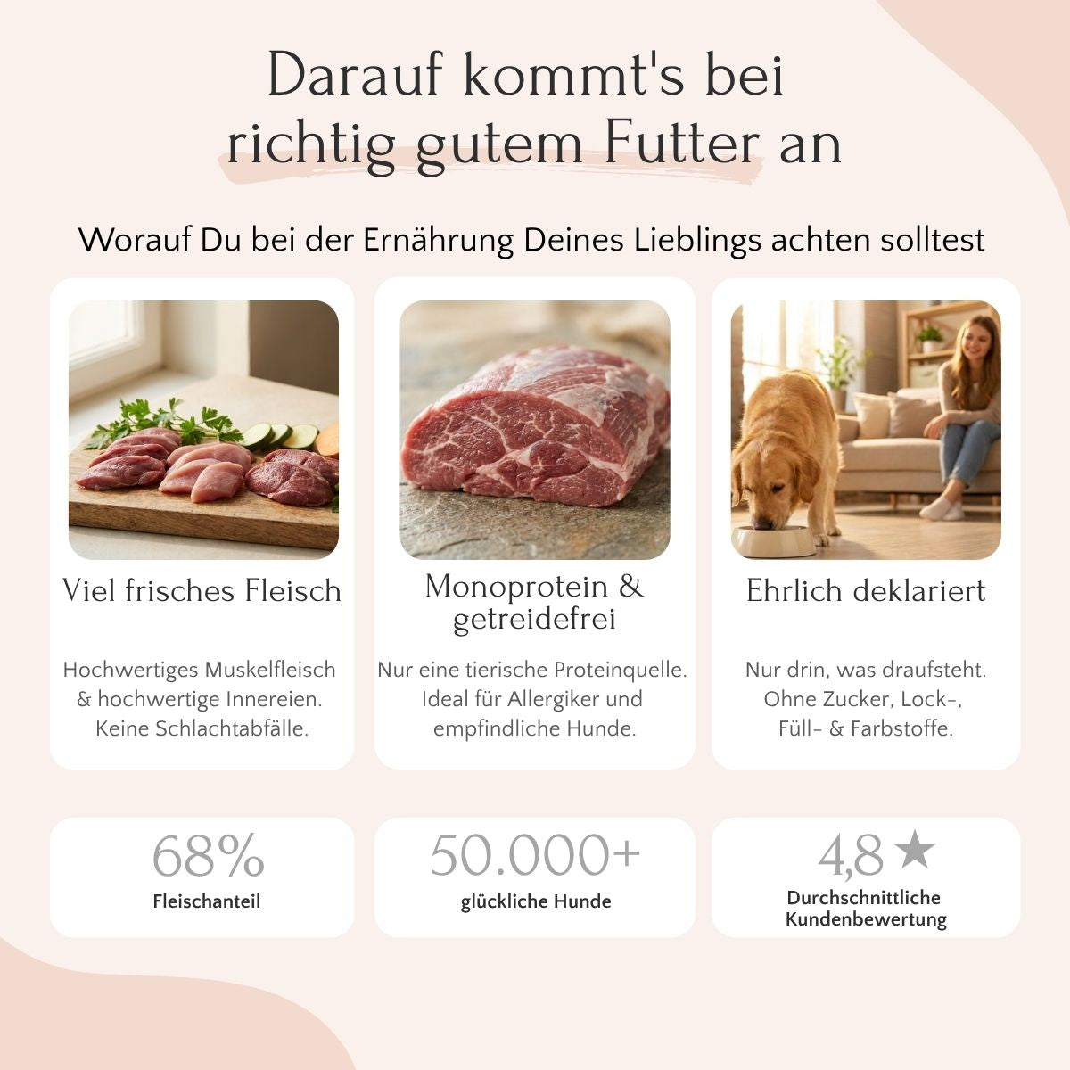 Nassfutter Pute für Hunde – Monoprotein & Schonkost