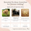 Drei Bilder von Hunden mit Symptomen - GASTRO Pulver von FAVLY Petfood als Lösung für Grasfressen & Sodbrennen.