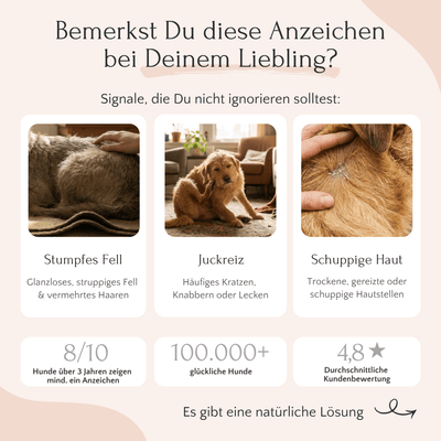 Drei Hunde mit stumpfem Fell und Juckreiz. HEPASKIN-Pulver von FAVLY Petfood: Natürliche Entgiftung von Haut und Fell.
