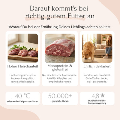 Infografik: FAVLY Petfood Kaninchen mit Amaranth - kaltgepresst, Monoprotein, viel Fleisch & glutenfrei.