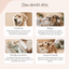 Collage mit Hunden und Zahnpflege-Tipps aus dem FAVLY E-Book „Zahngesundheit beim Hund“
