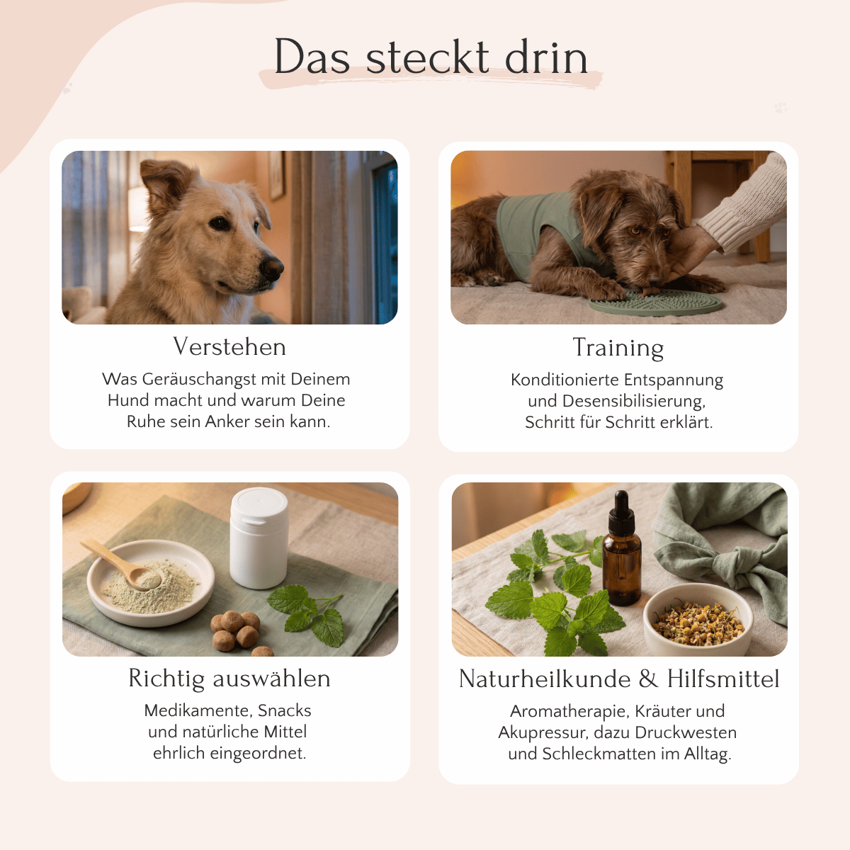 Vier Bildkacheln mit Tipps aus dem E-Book „Gelassen ins neue Jahr“: Fütterung, Erziehung und natürliche Helfer