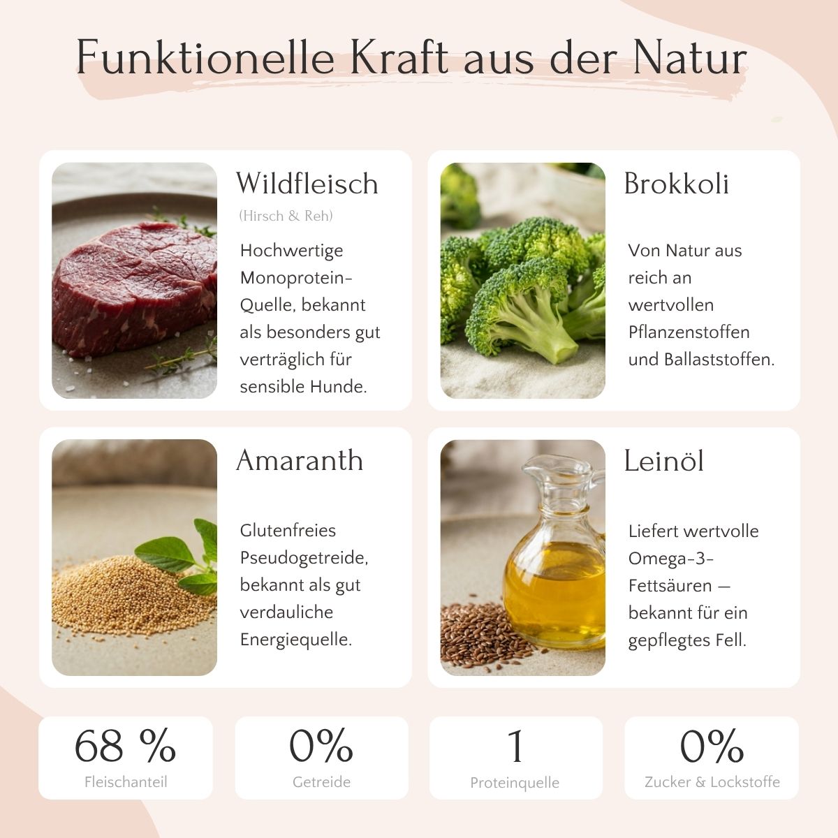 FAVLY Petfood Wild mit Amaranth, Brokkoli & Leinöl: getreidefreies Nassfutter für Hunde.