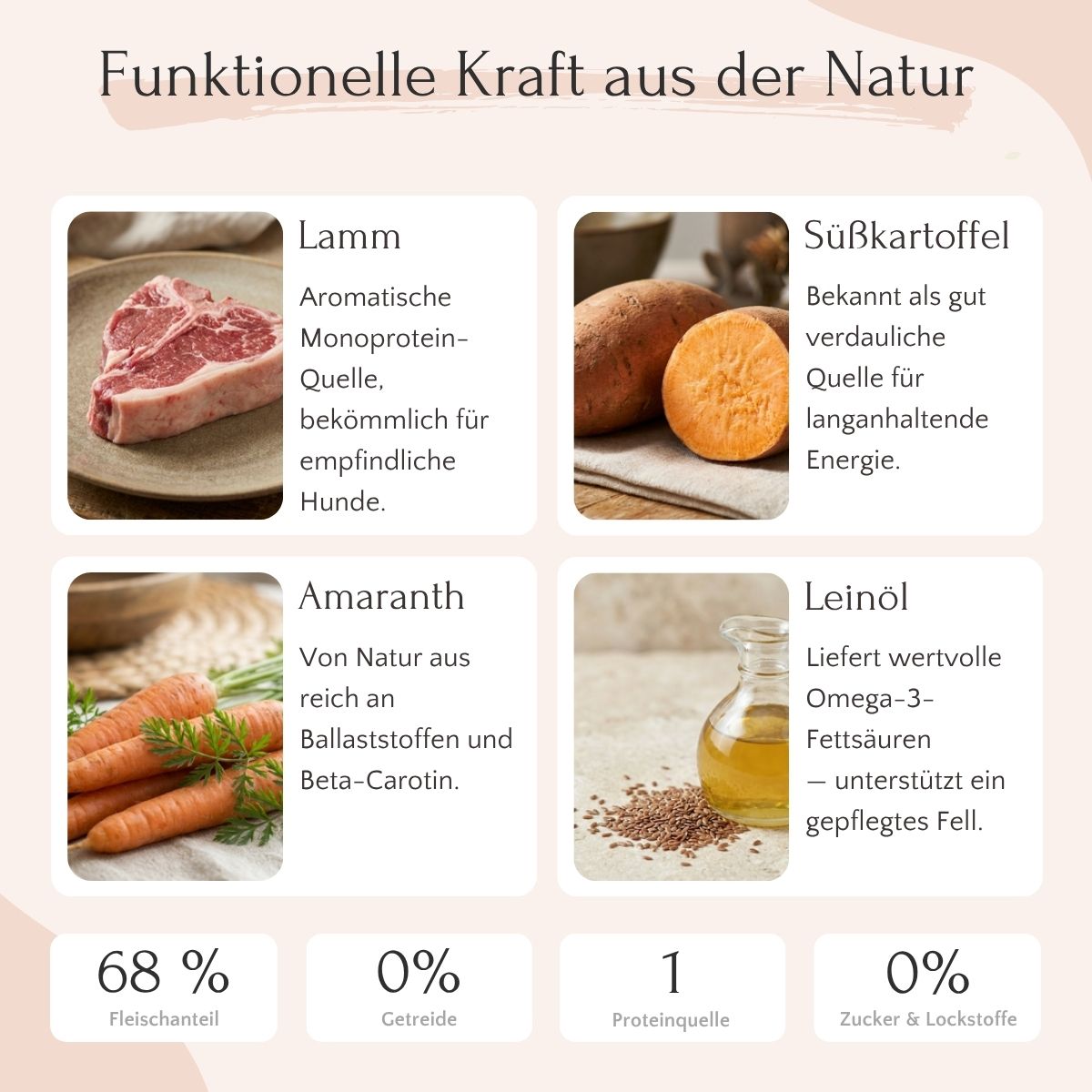 Eine deutsche Infografik zeigt FAVLY Petfood Lamm mit Süßkartoffel & Karotte, ein getreidefreies Hundefutter.