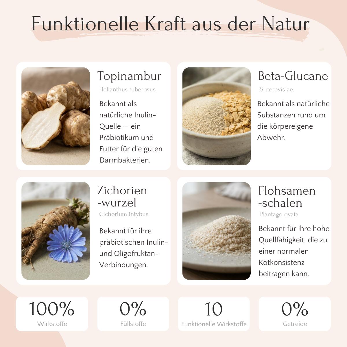 Vier Packungen FloraVITAL Pulver von FAVLY Petfood unterstützen die Verdauung und Darmgesundheit mit Präbiotika.