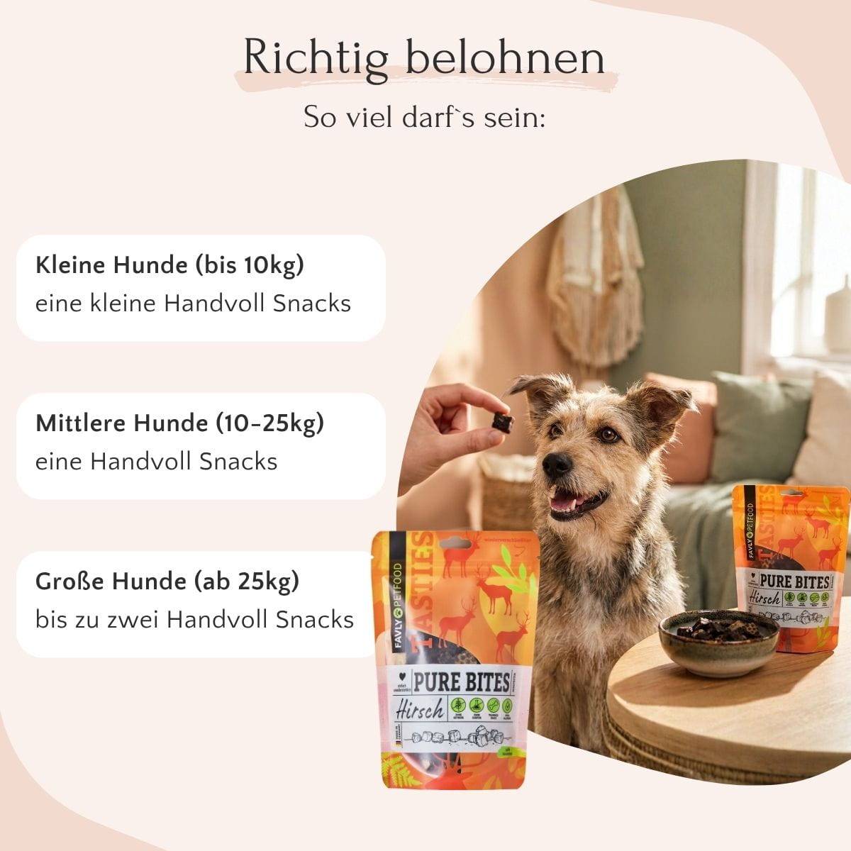 Ein glücklicher Hund wartet auf FAVLY Petfood PURE Bites Hirsch, mit Snacks in verschiedenen Größen für kleine, mittlere und große Hunde.