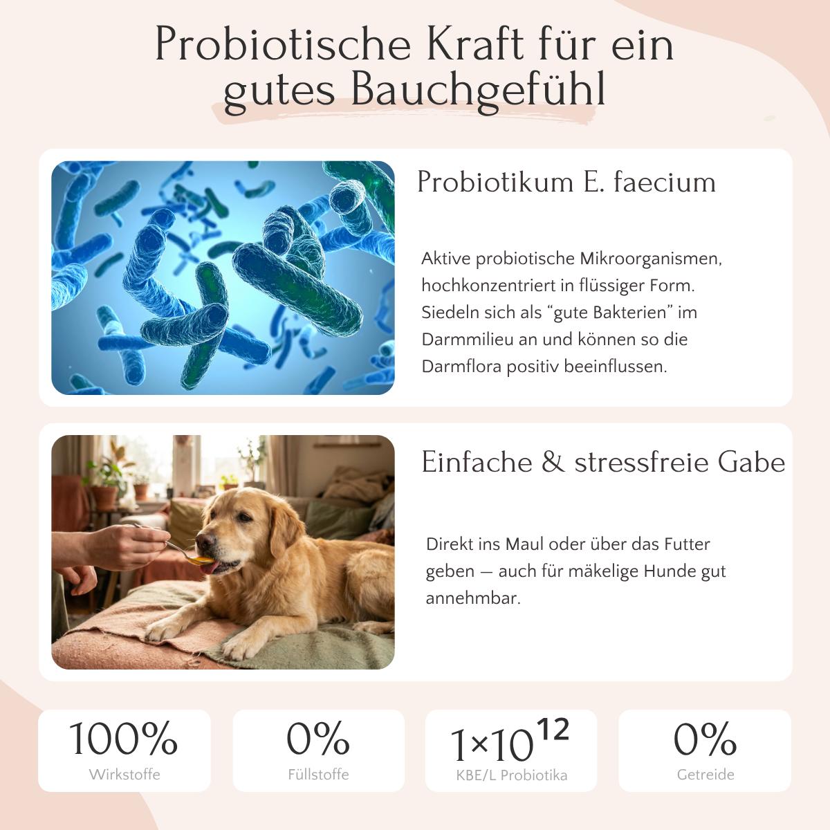 Zwei Bilder: Bakterien & Hund - Infos zu FloraACTIVE Probiotika von FAVLY Petfood für Hunde.