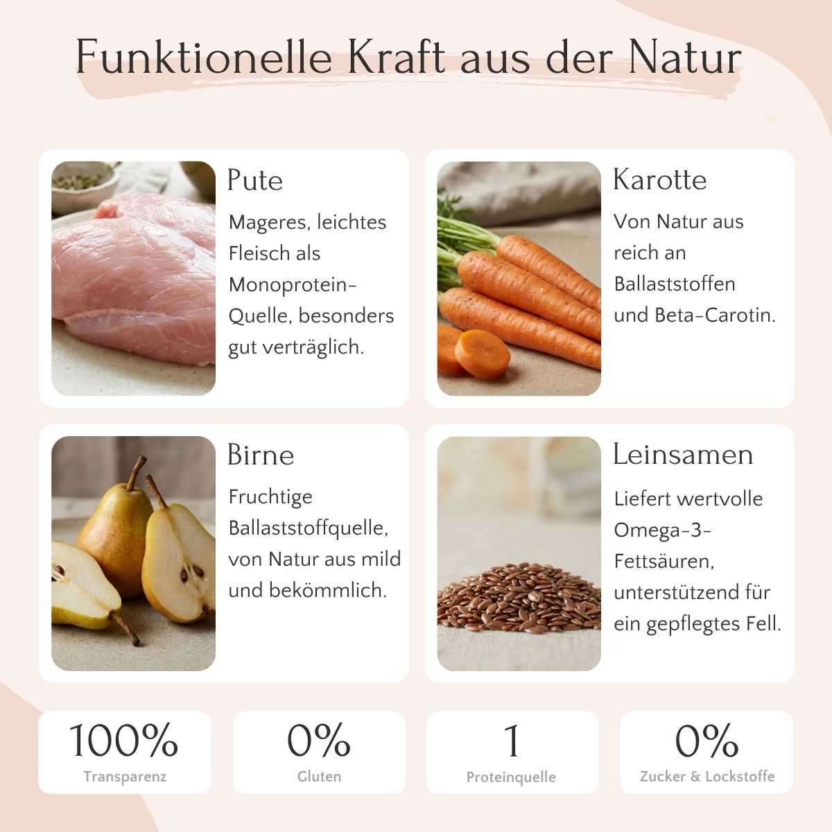 FAVLY Tiernahrung: Pute mit Karotte, Birne & Leinsamen - getreidefrei & kaltgepresst für Hunde.