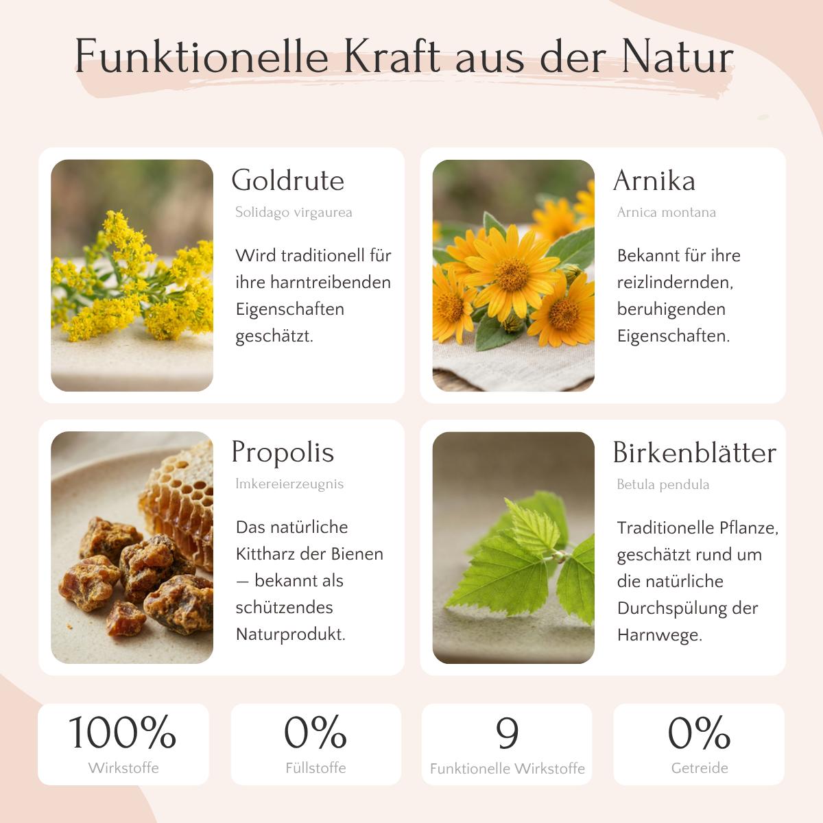 UROCARE Pulver - Niere & Blase von FAVLY Petfood: Goldrute, Arnika, Propolis & Birkenblatt für die Nierengesundheit.