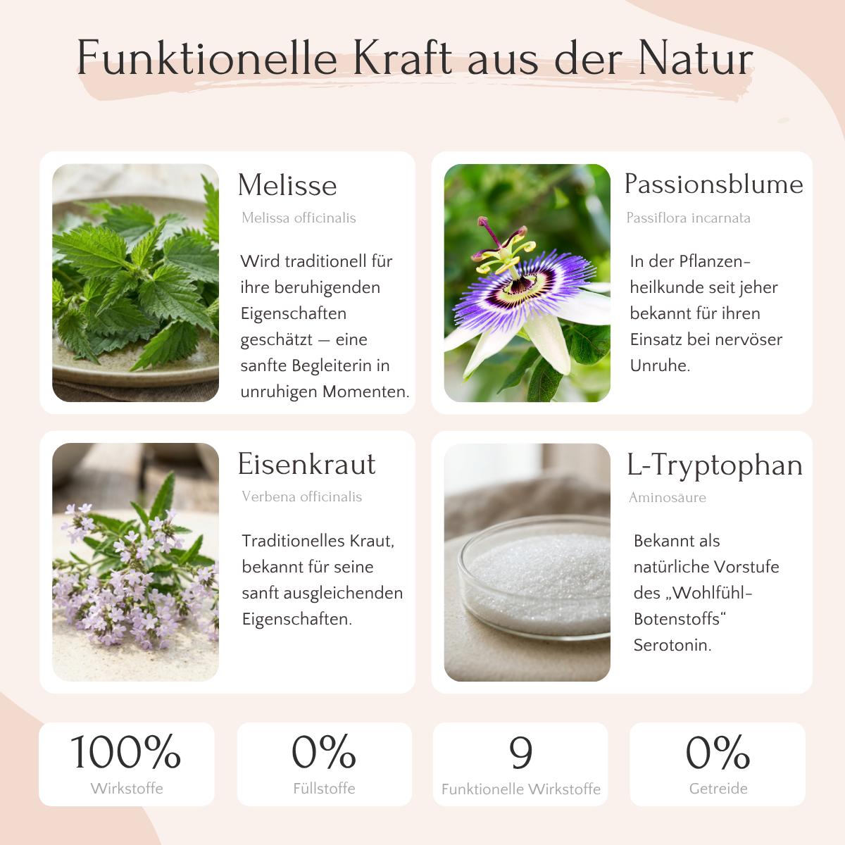 Vier Dosen zeigen FAVLY Petfood RELAX Pulver - Unruhe & Stress mit Zitronenmelisse, Passionsblume, Eisenkraut und L-Tryptophan.
