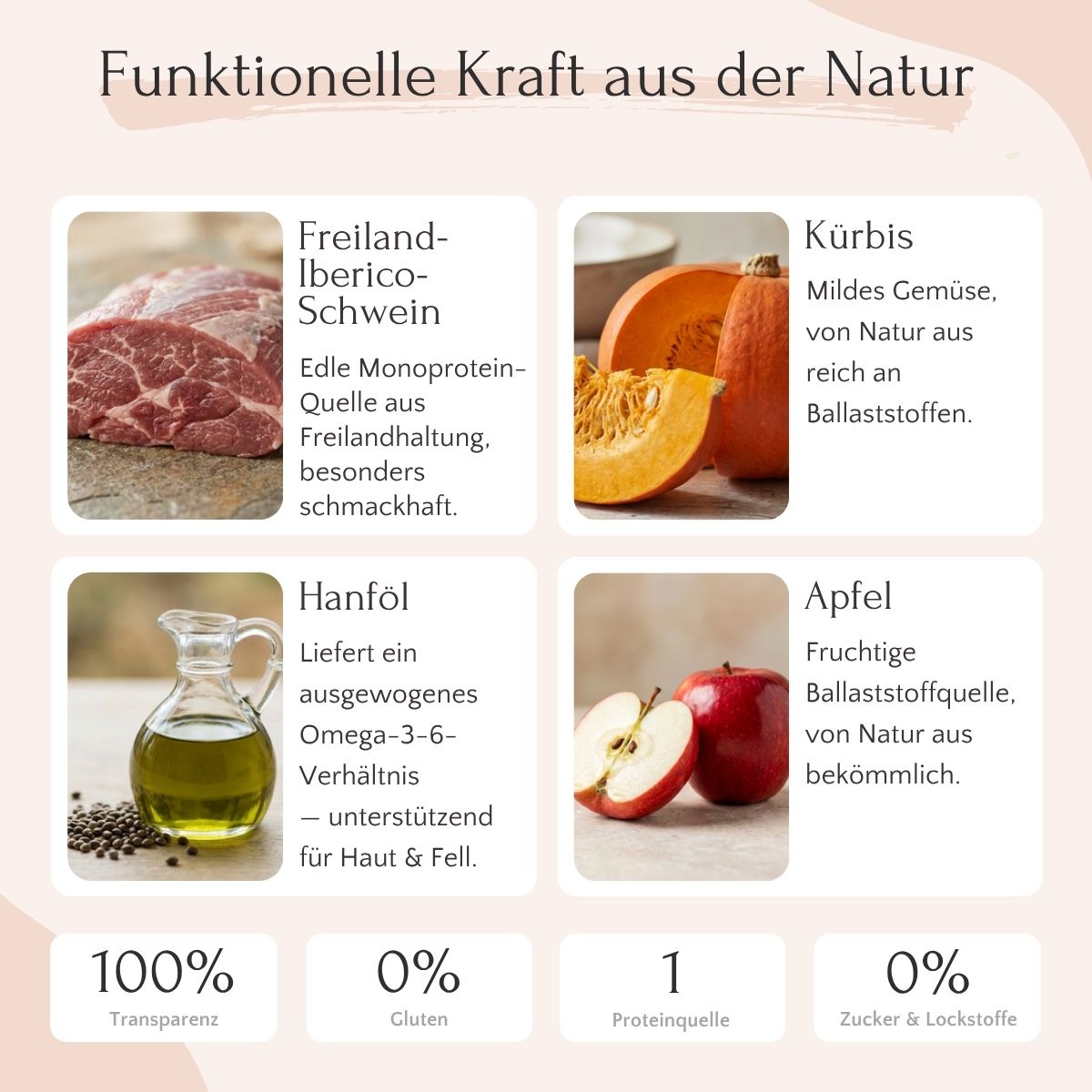 FAVLY Petfood Freiland-Iberico mit Kürbis, Hanföl & Apfel: kaltgepresstes Hundefutter mit deutschen Infos.