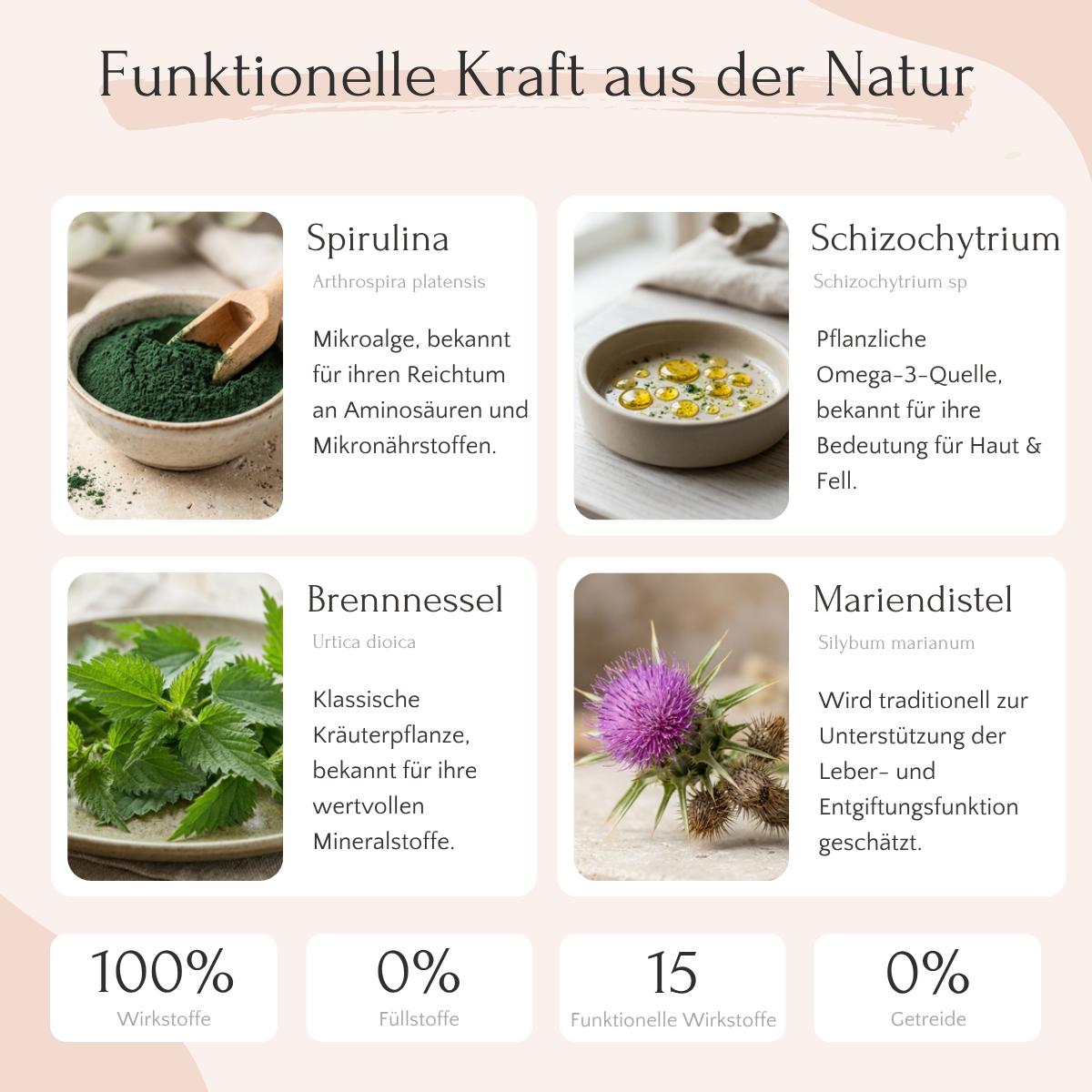 Das Fit & Vital Bundle von FAVLY Petfood fördert die Darmgesundheit deines Hundes im neuen Jahr.