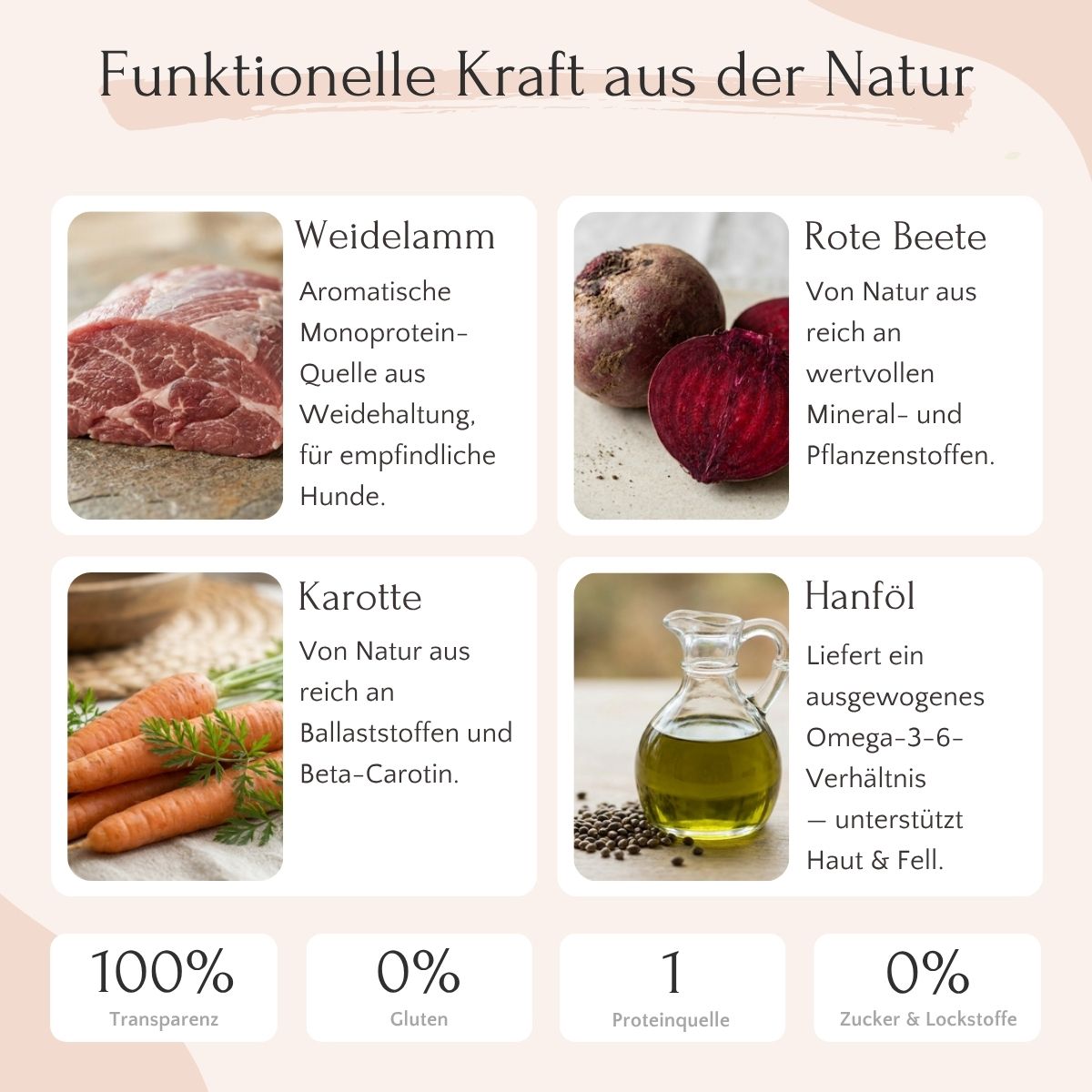 Das Weidelamm mit Rote Beete, Karotte & Hanföl von FAVLY Petfood enthält Lammfleisch, Rote Beete, Karotte und Hanföl für Hunde.