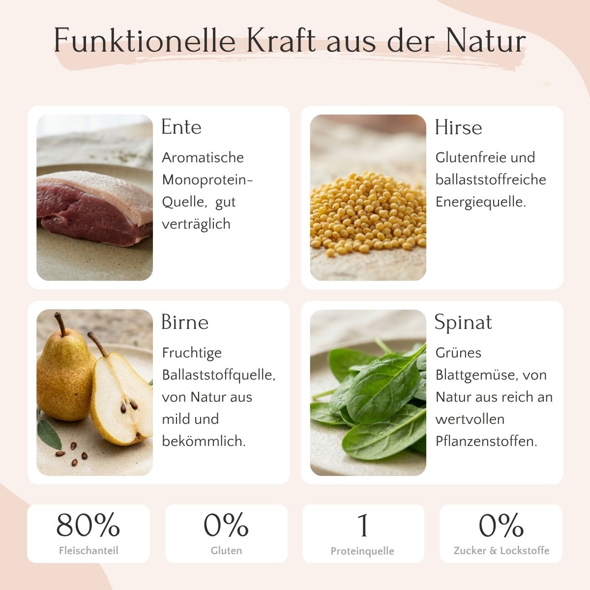 FAVLY Petfood Ente mit Hirse, Birne & Spinat: 4 Zutaten, glutenfreies Nassfutter für Hunde.