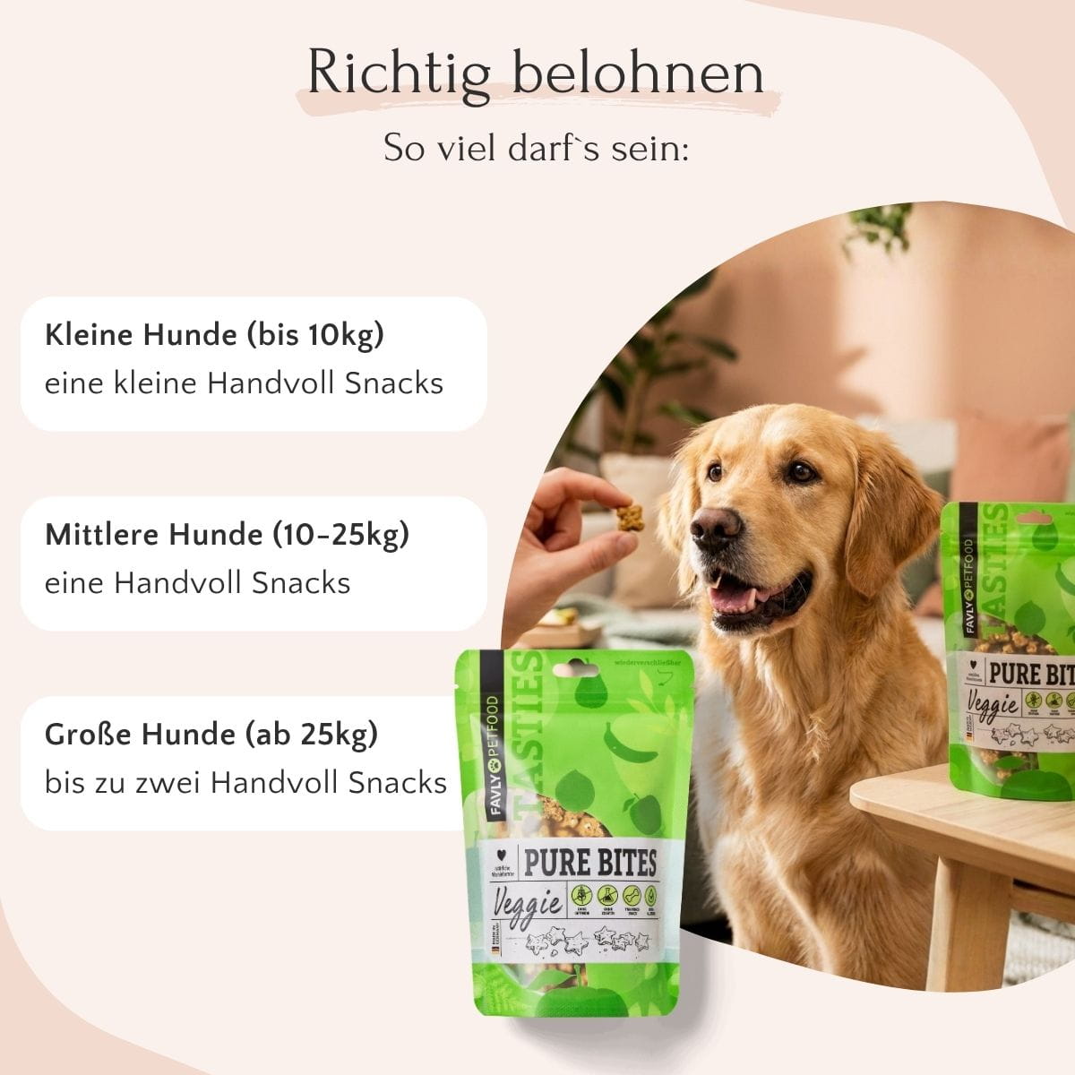 Ein Golden Retriever genießt PURE Bites Veggie von FAVLY Petfood; Fütterungsempfehlung für alle Hundegrößen auf Deutsch.
