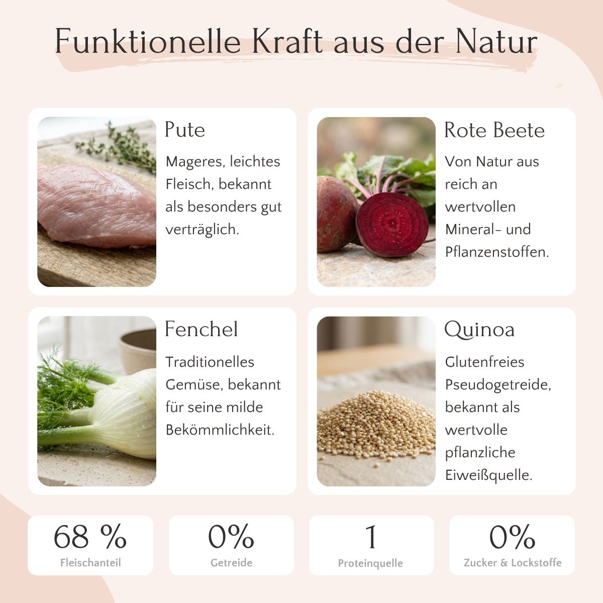 FAVLY Petfood Pute mit Quinoa, Rote Beete & Fenchel - getreidefreies Monoprotein-Nassfutter für Hunde.