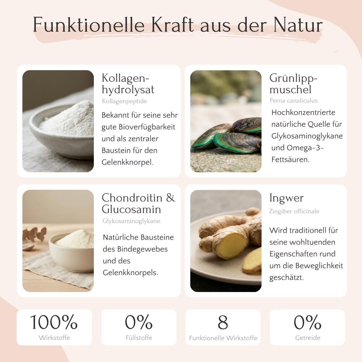 MOBILITY Pulver von FAVLY Petfood: Natürliche Gelenkpflege mit Kollagen, Grünlippmuschel, Chondroitin & Ingwer.