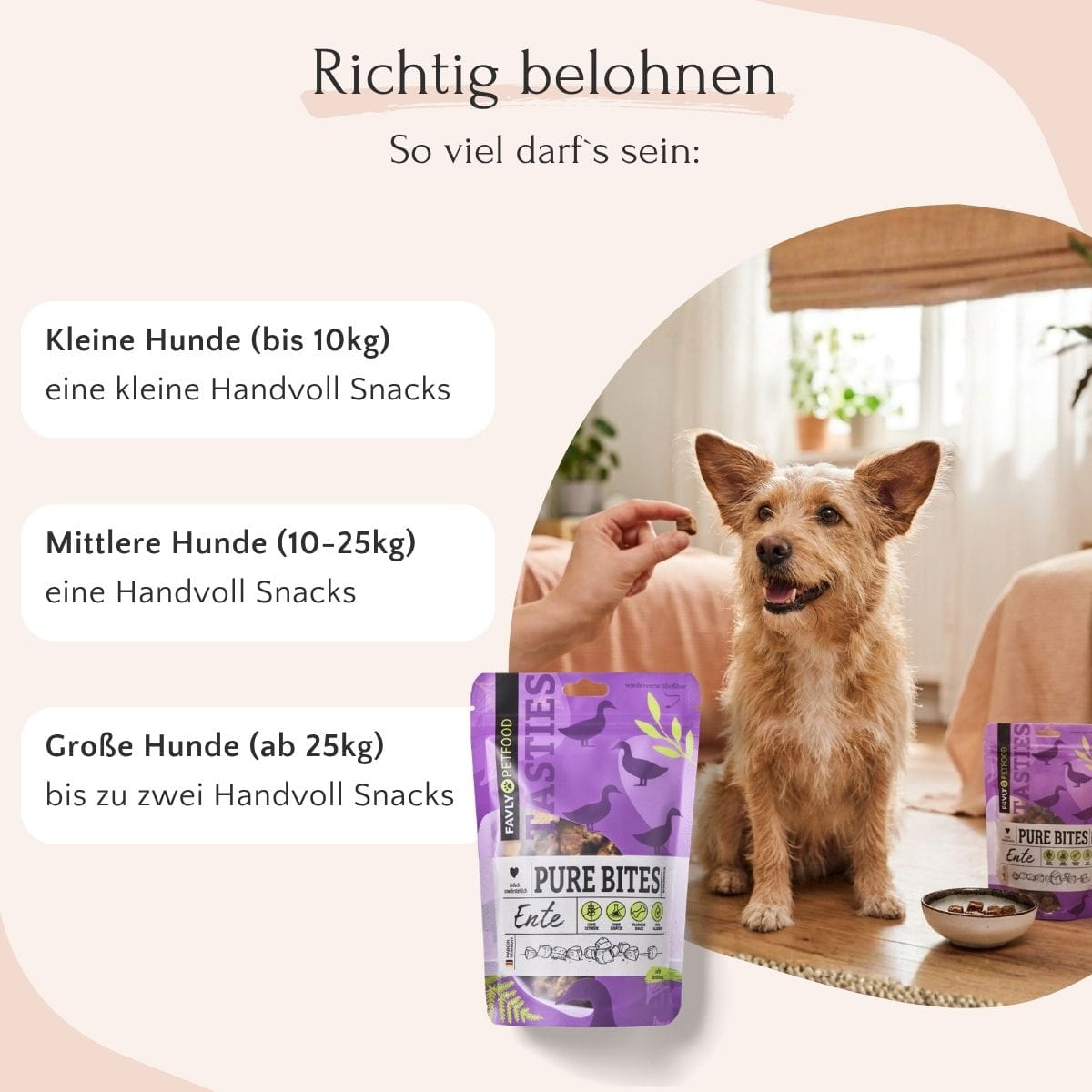 Ein glücklicher Hund sitzt neben einem Tisch mit FAVLY Petfood PURE Bites Ente; im Text sind die Fütterungsmengen für die verschiedenen Größen aufgeführt.