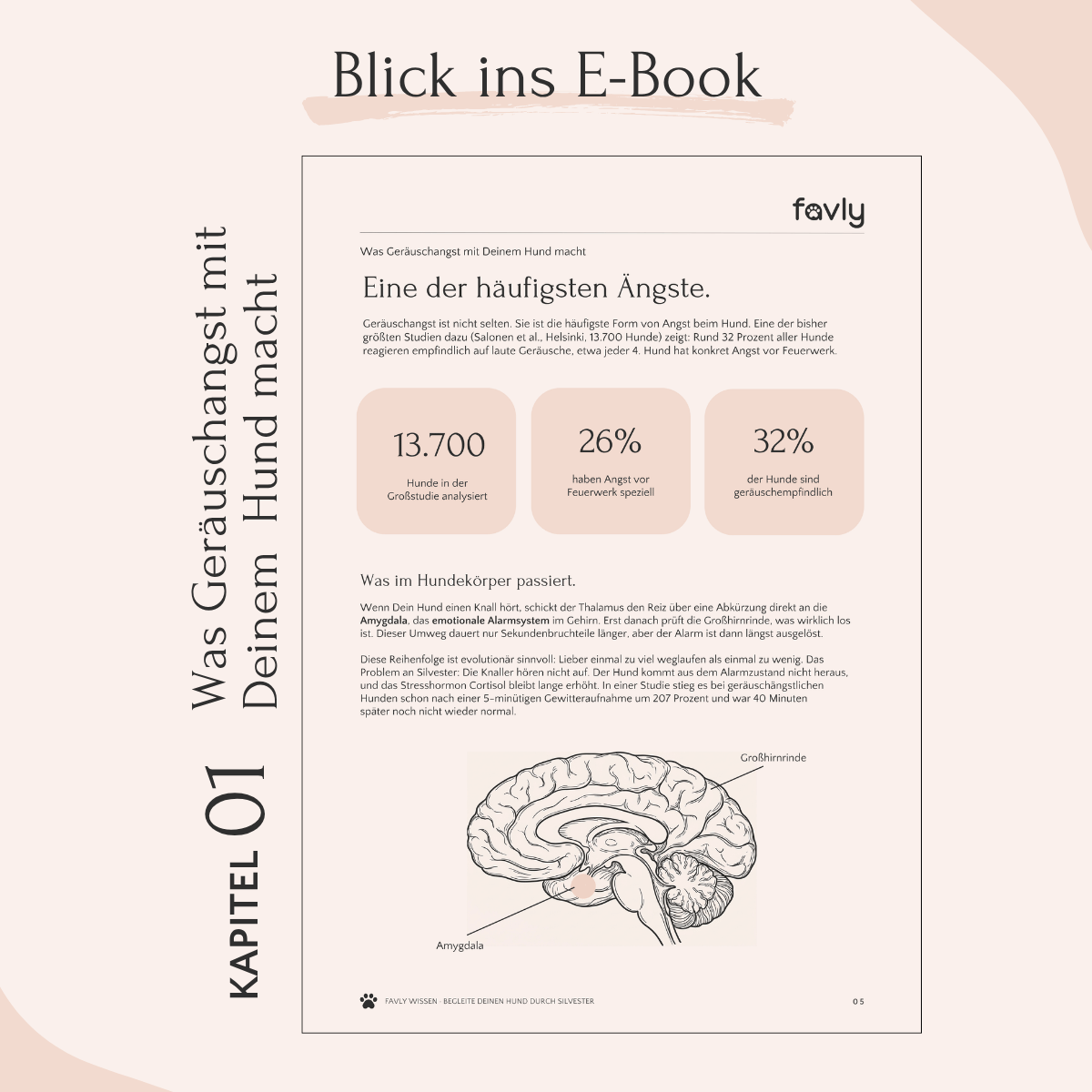 Einblick ins E-Book: Statistiken und Diagramme zur Zahngesundheit beim Hund