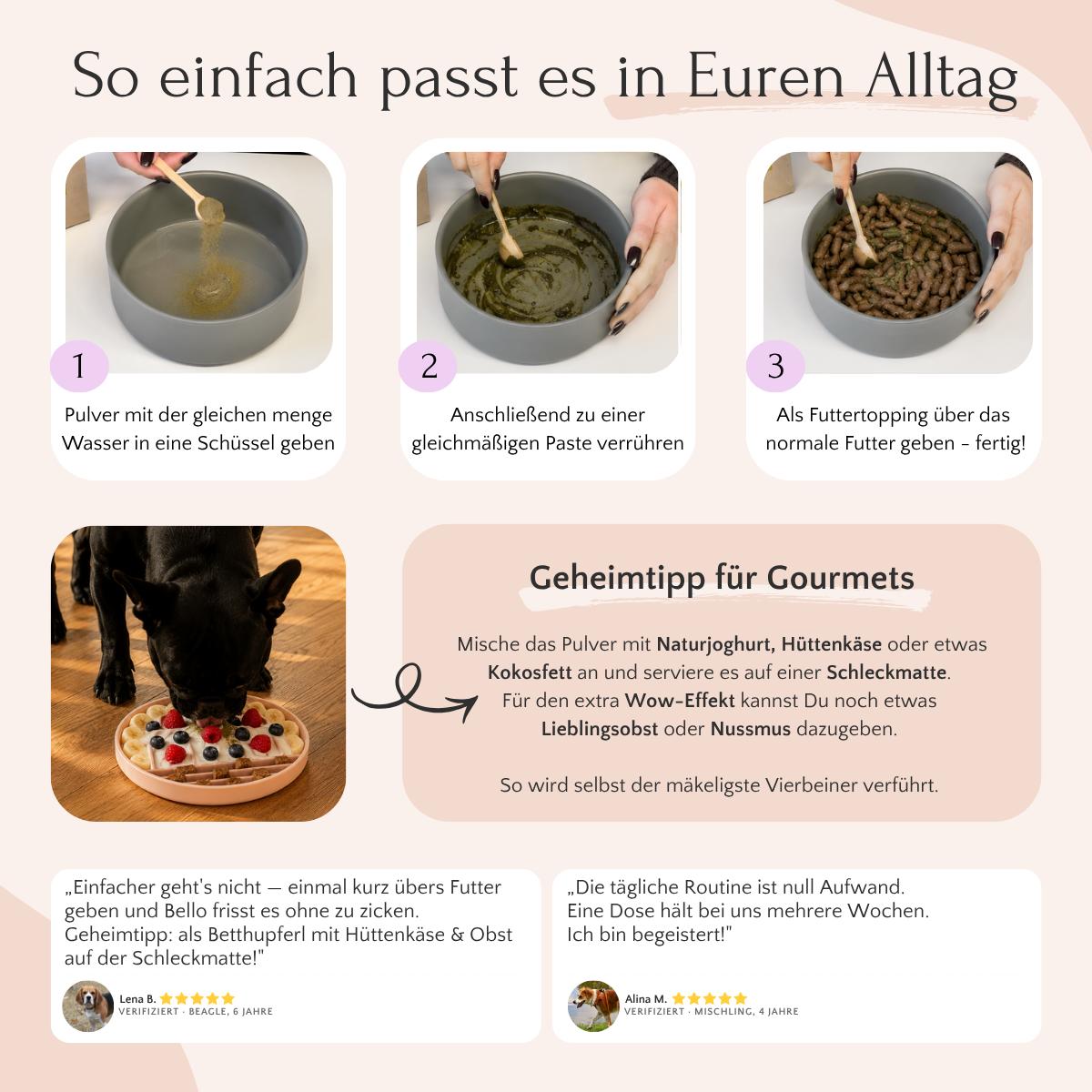 Mit FAVLY Petfood UROCARE Pulver Hundefutter anrühren; Tipps zu Niere & Blase in Textboxen erhalten.