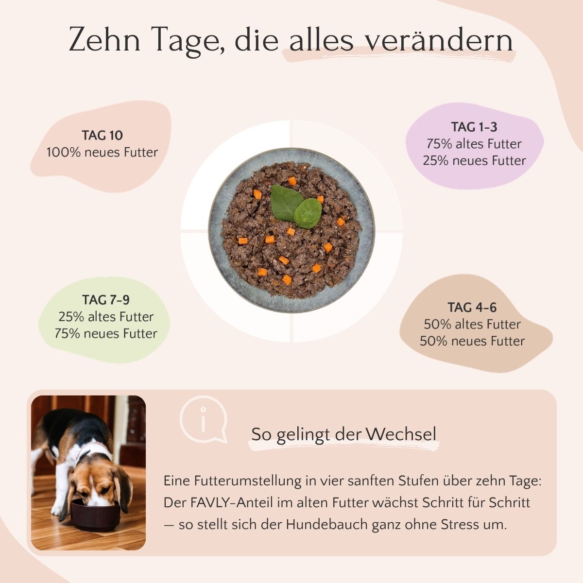 Nassfutter Lamm für Hunde – Monoprotein, getreidefrei