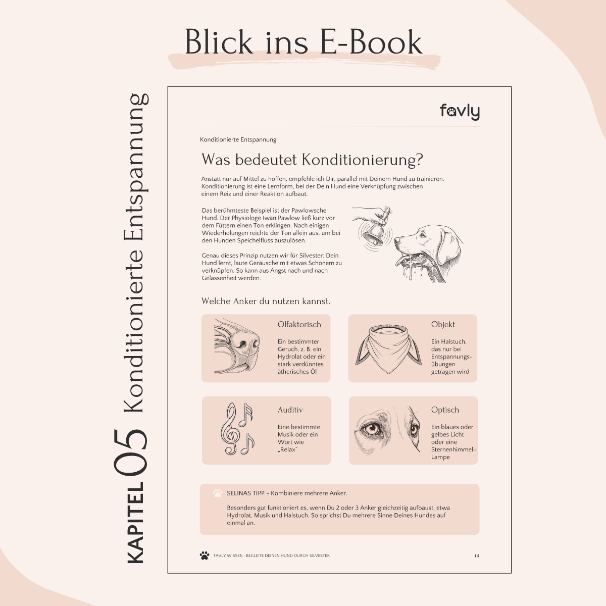 Einblick ins E-Book: Entspannung für Hunde mit Illustrationen und Fütterungstipps – Gelassen ins neue Jahr