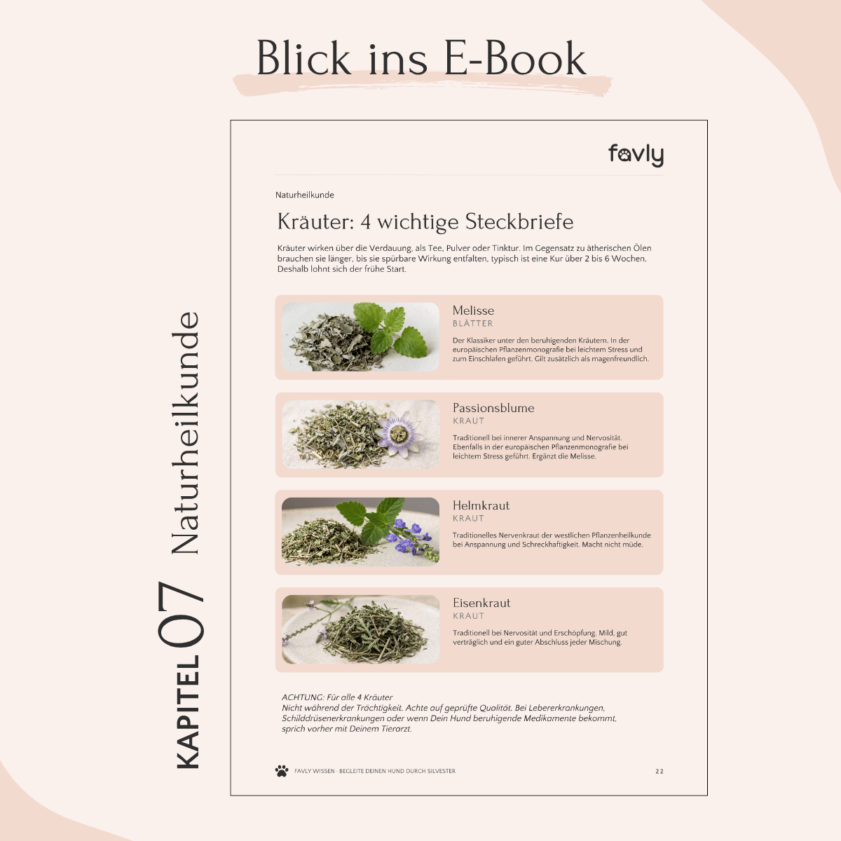 Eine E-Book-Seite von FAVLY Petfood zum Thema pflanzliches Hundefutter, mit Bildern, beigem Hintergrund – Gelassen ins neue Jahr.