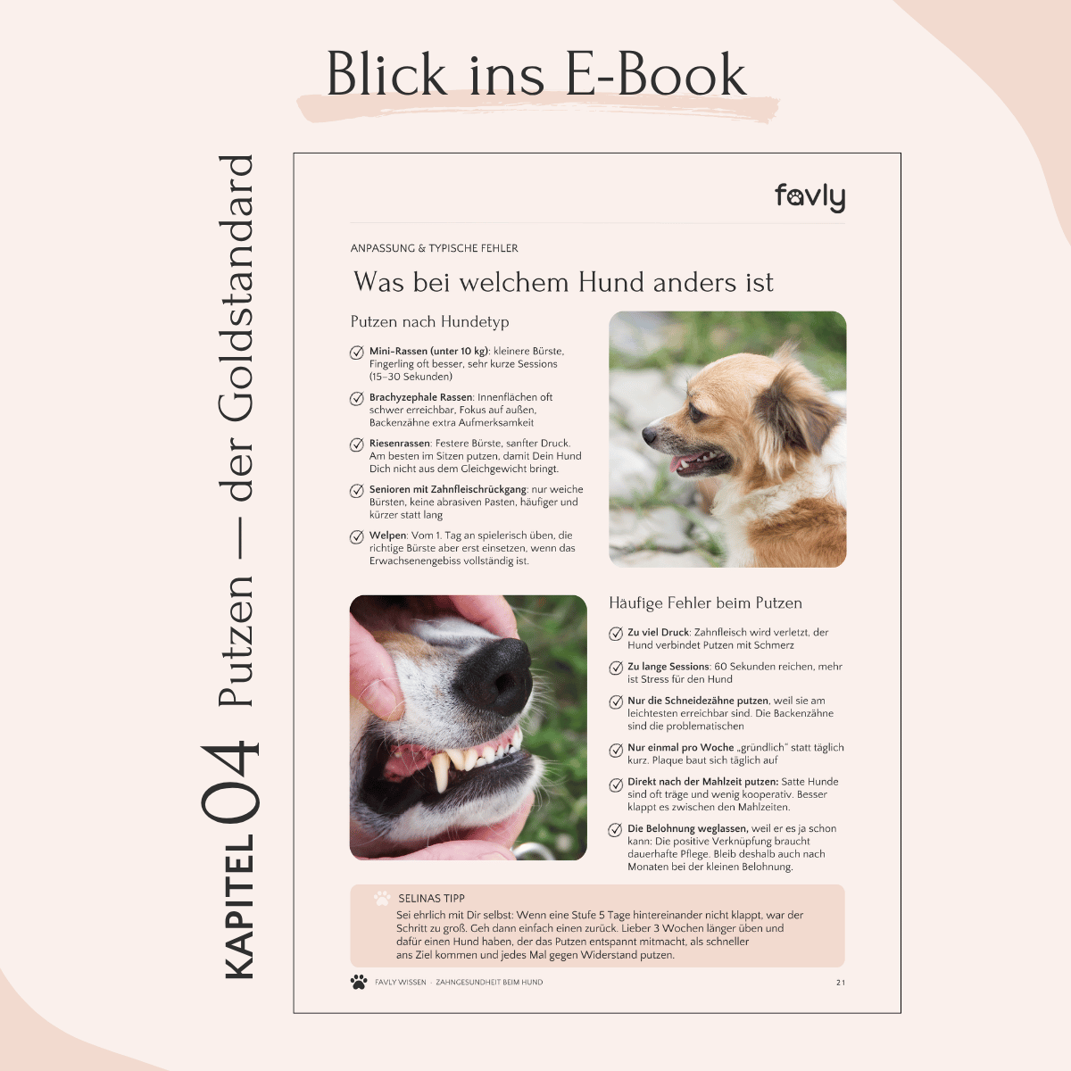 Aufgeschlagenes FAVLY E-Book „Zahngesundheit beim Hund“ mit Tipps zur Zahnpflege und Fütterung