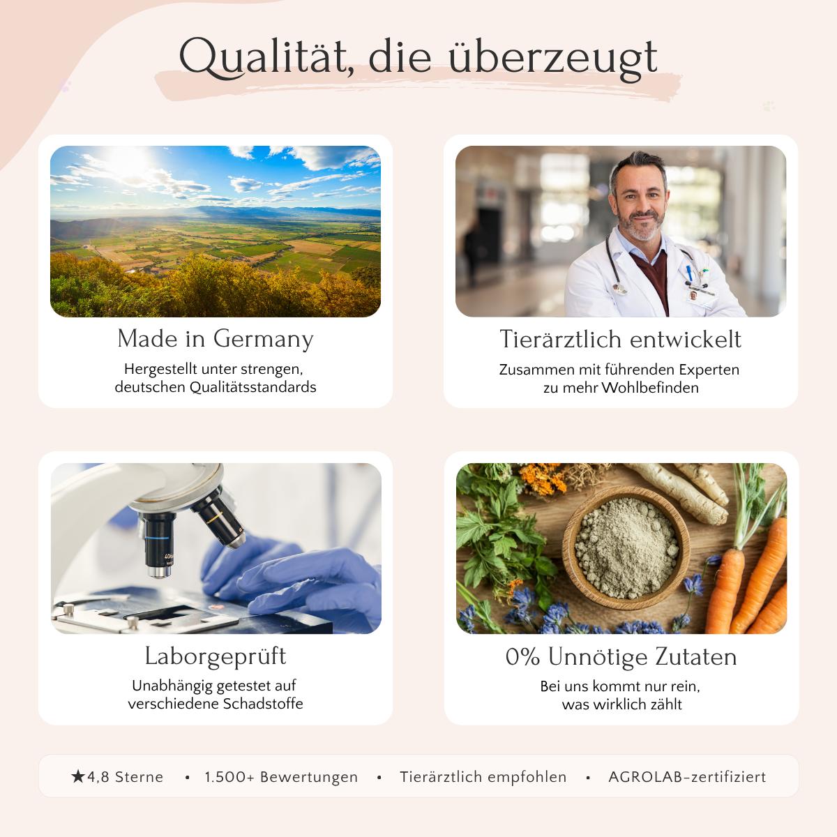 Infografik mit Bildern zu UROCARE Pulver von FAVLY Petfood: Qualität, Nieren-Blase, Zutaten und Laborarbeit.