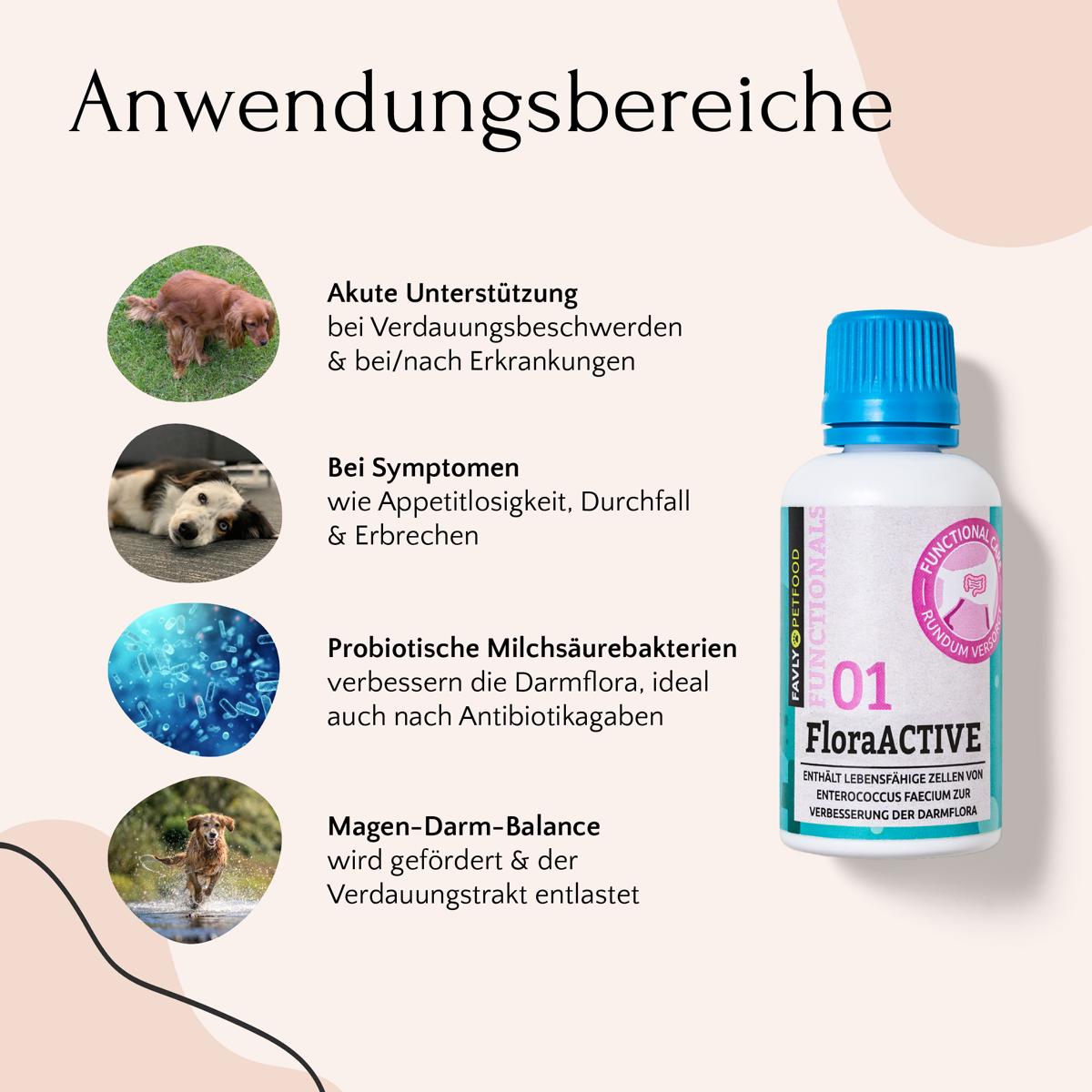 Infografik zur Hundeverdauung mit dem Bauchwohl Set von FAVLY Petfood und Tierfoto auf hellem Hintergrund.