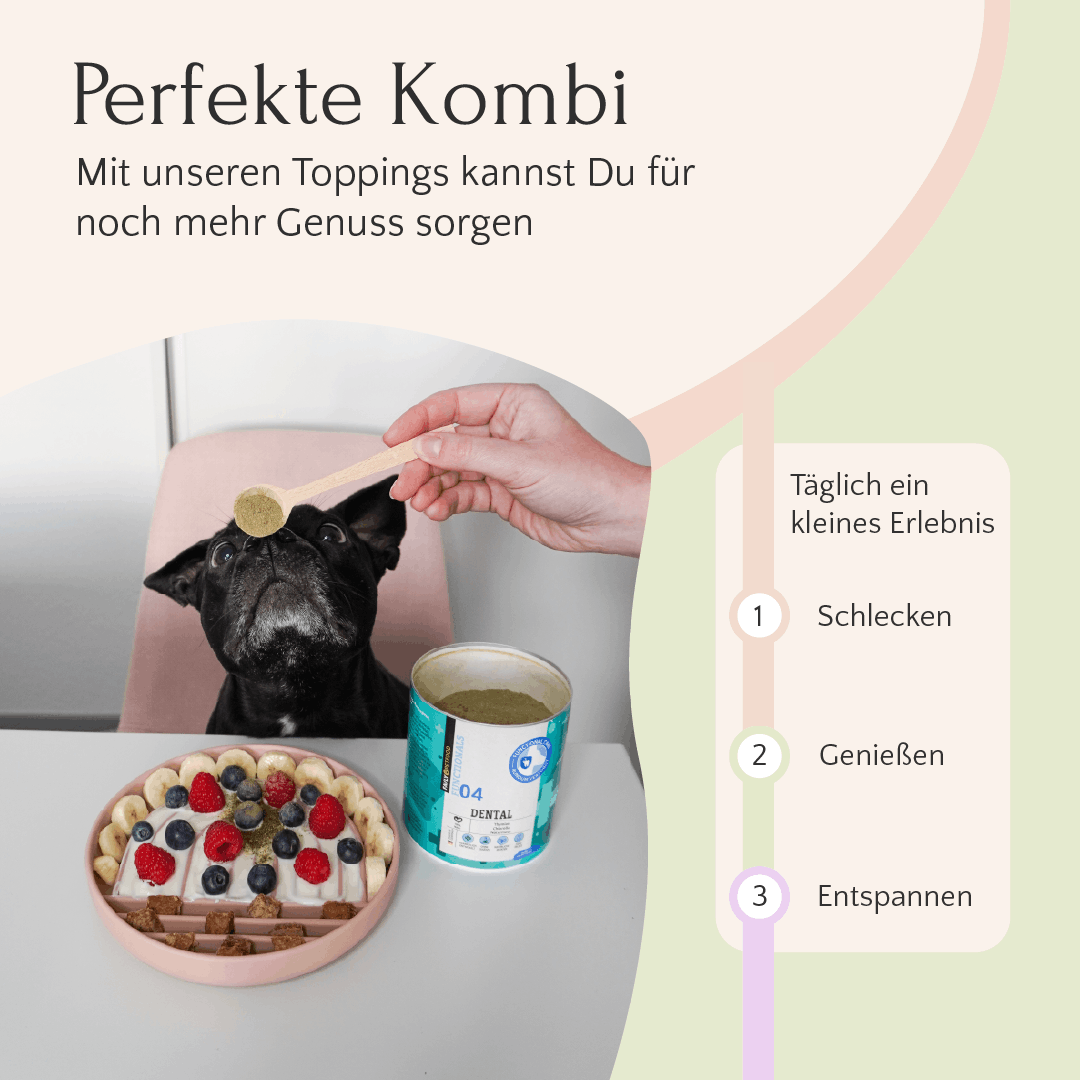 Das FAVLY Petfood Bauchwohl Set sorgt als Topping für einen gesunden Magen-Darm-Trakt beim Hund.