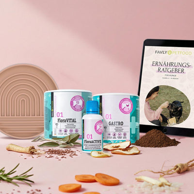FAVLY Petfood Bauchwohl Set: Ergänzungsfuttermittel, Trockenfutter für Hund Verdauung & ein rosa Ernährungsratgeber mit Gemüse.