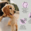 FAVLY "Welpen-Set" + GRATIS Futterguide