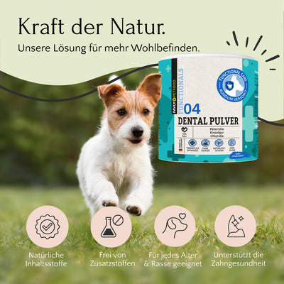 Ein Hund tollt auf dem Gras neben der Verpackung von FAVLY Petfood DENTAL Pulver - Zahnhygiene & frischer Atem-2 herum. Die Symbole betonen die natürlichen, zusatzstofffreien Vorteile für alle Rassen. Verbessern Sie die Mundhygiene Ihres Hundes und helfen Sie, Plaque mit diesem bewährten Produkt vorzubeugen.