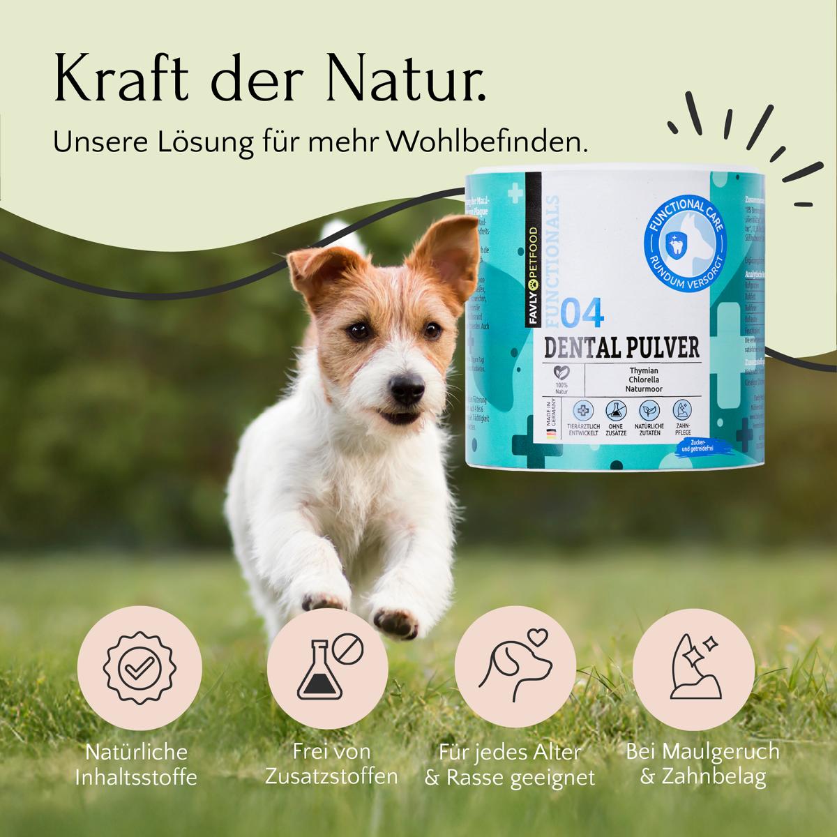 Mundgeruch & Zahnhygiene bei Hunden FAVLY Petfood Mundgeruch & Zahnhygiene bei Hunden FAVLY Petfood