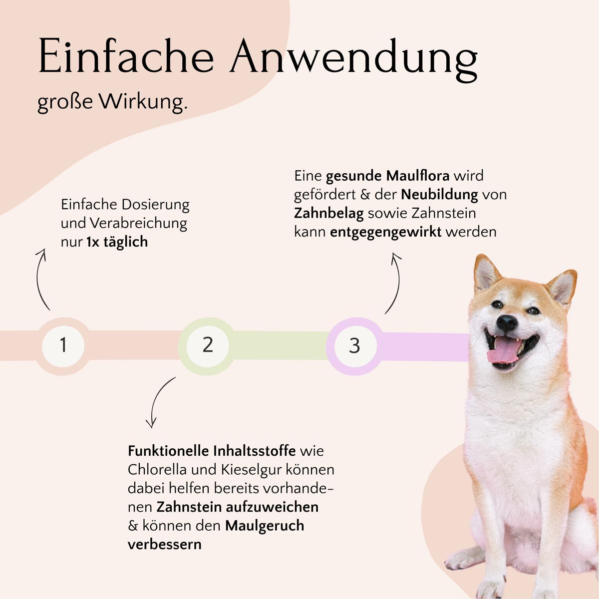 Illustrierte Schritte zur Zahnhygiene mit einem fröhlichen Hund und erklärendem Text auf Deutsch zur Vorbeugung von Zahnbelag, passend zu FAVLY Petfood's DENTAL Pulver - Zahnhygiene & frischer Atem-2.