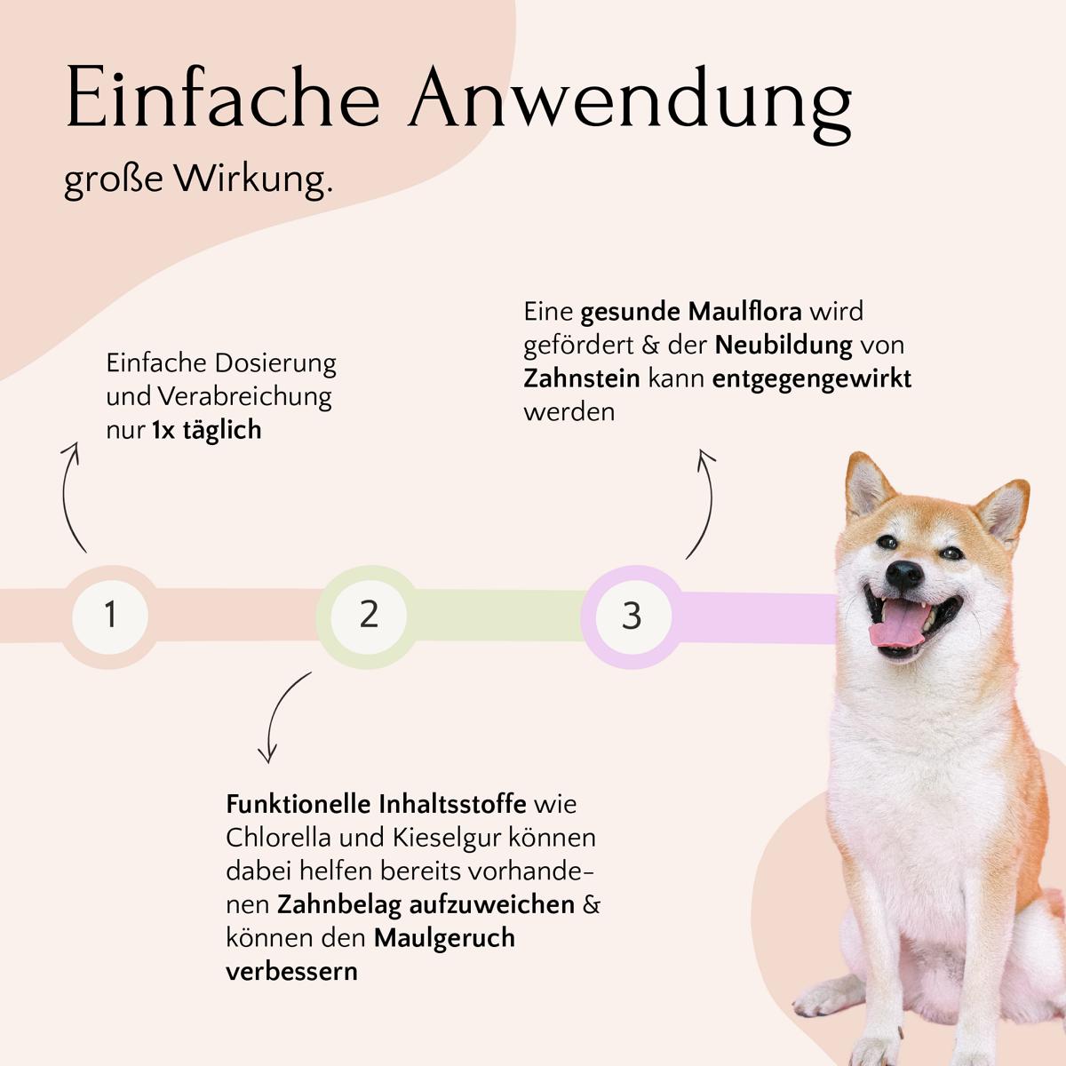 Diagramm für DENTAL Pulver, Zahnhygiene & frischer Atem von FAVLY Petfood, mit einem lächelnden Shiba Inu und deutschem Text.