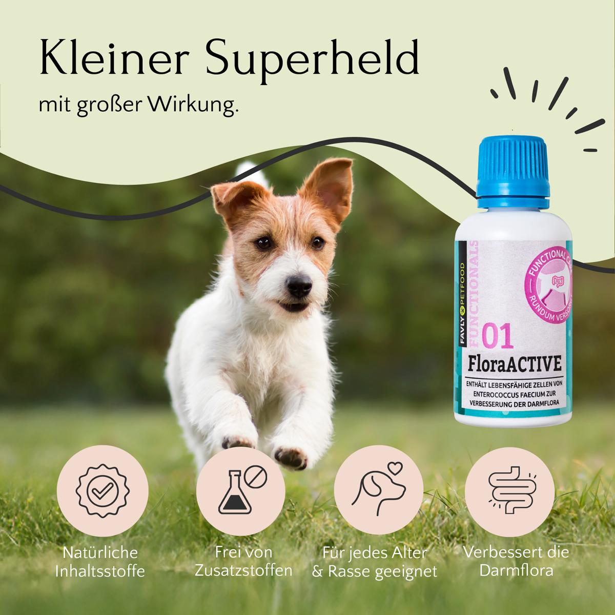 Ein verspielter Hund läuft auf Gras von FAVLY Petfood FloraACTIVE - Probiotika & Darmflora, für natürliche Verdauung Hund.