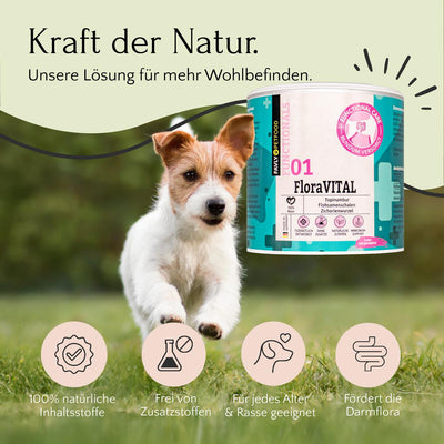 Ein kleiner Hund läuft durch FloraVITAL Pulver von FAVLY Petfood, mit Symbolen für Präbiotika und Verdauungsgesundheit.