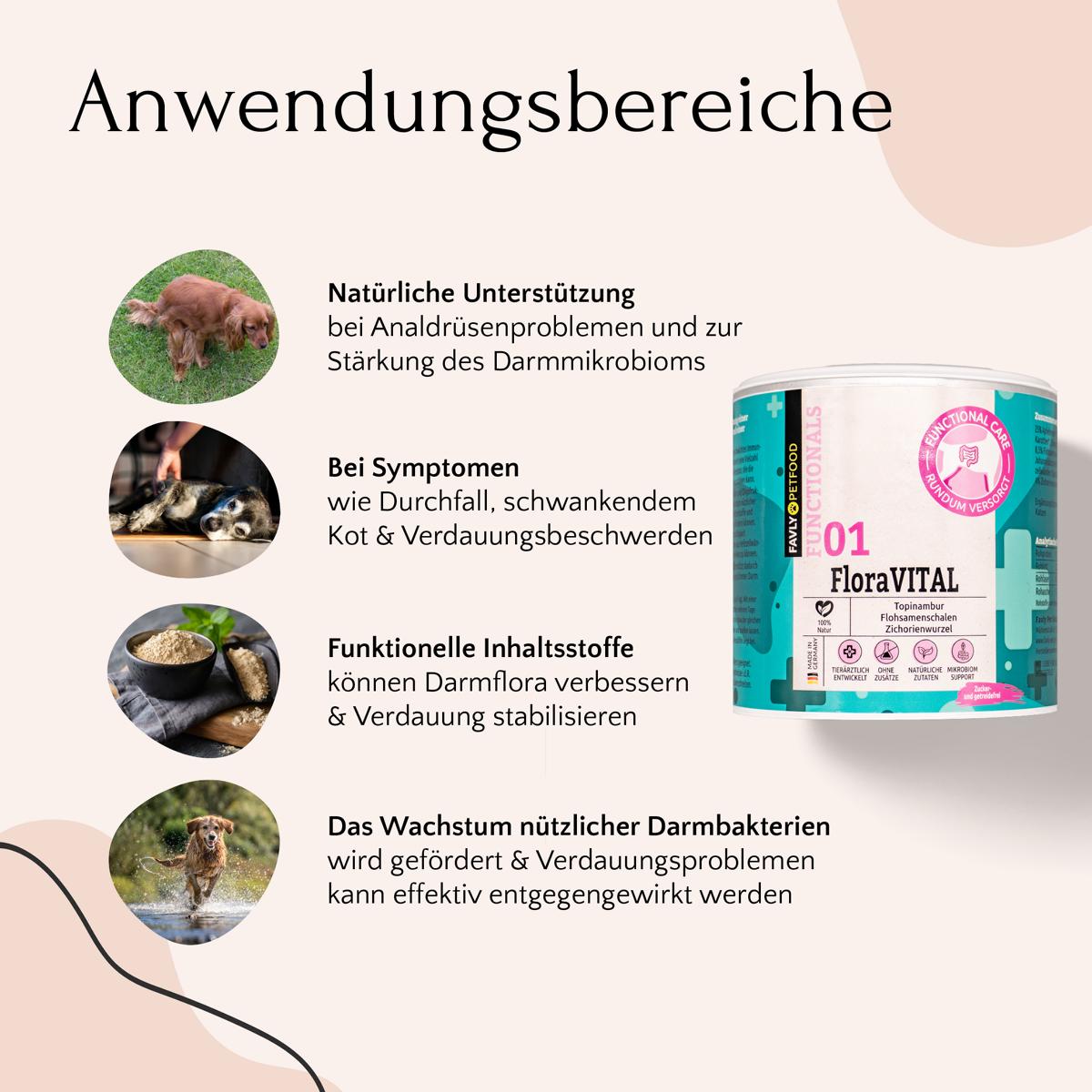 Das Bild zeigt einen Hund, FloraVITAL Pulver von FAVLY Petfood, Verdauungsvorteile und Gesundheitssymbole.