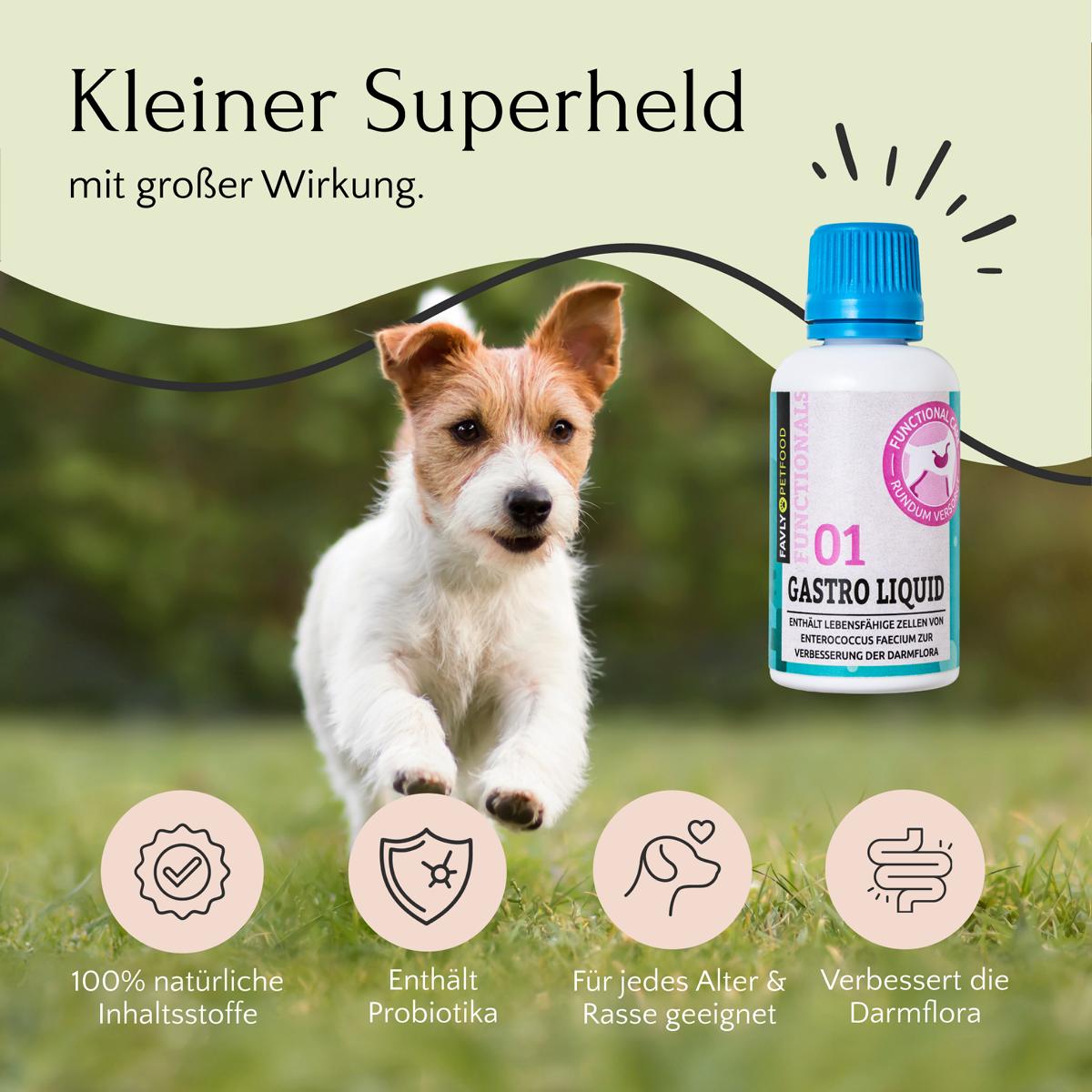 Ein kleiner Hund läuft fröhlich über das Gras, während darüber eine Flasche GASTRO Liquid – Probiotika & Darmflora von FAVLY Petfood und Symbole für die verdauungsfördernde Wirkung zu sehen sind, die den positiven Einfluss auf die Verdauung verdeutlichen.