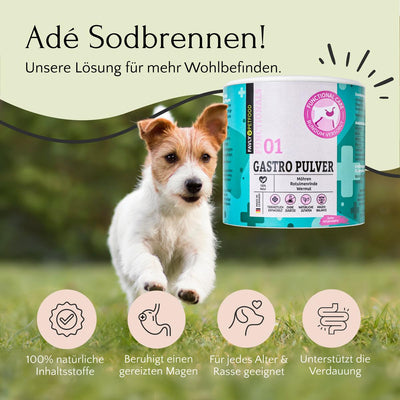 Ein kleiner braun-weißer Hund läuft glücklich auf einem Feld neben einer Dose „GASTRO Pulver – Sodbrennen & Grasfressen“ von FAVLY Petfood, das Magenprobleme lindern soll.