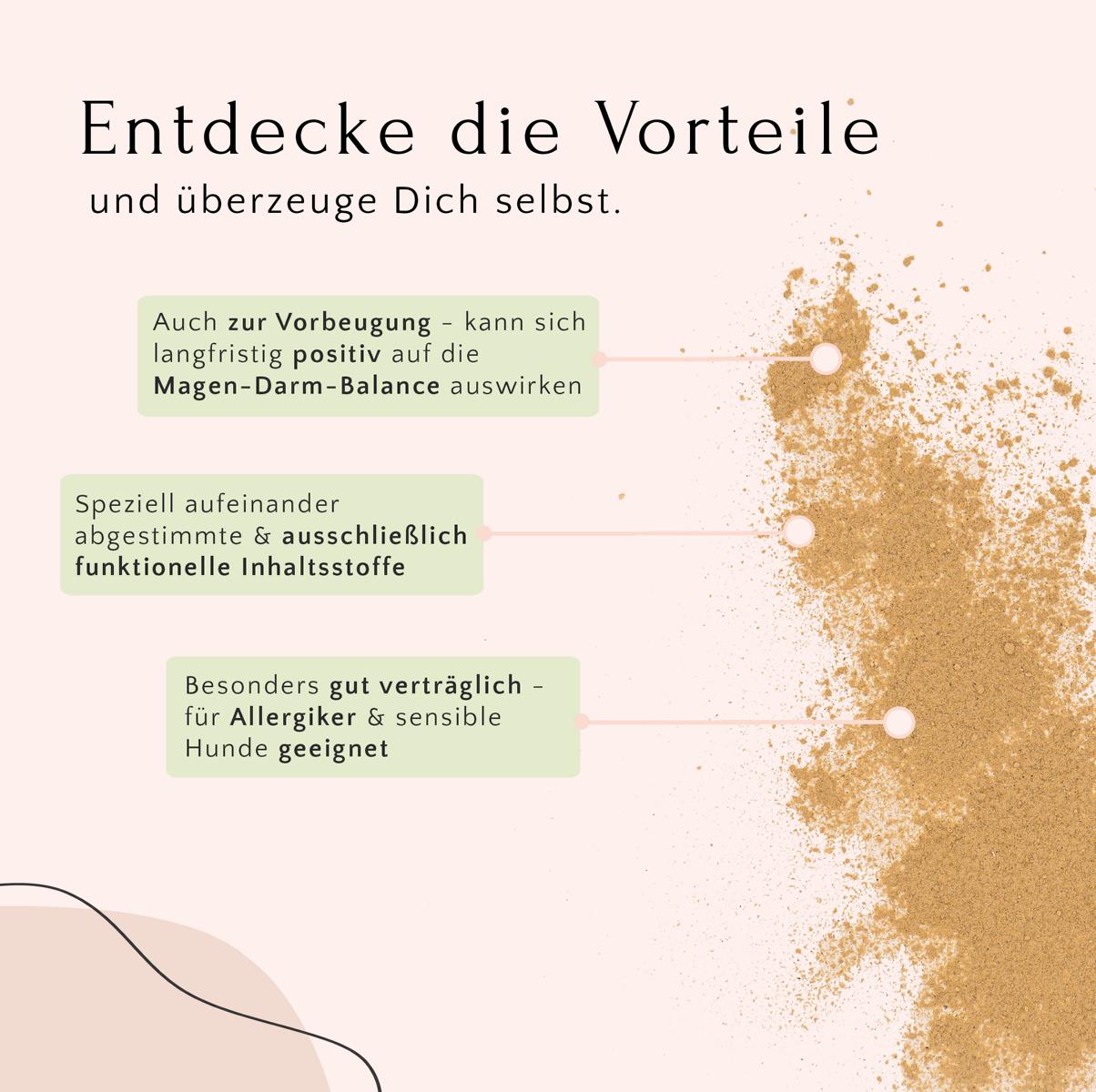 Infografik, die die Vorteile von GASTRO Pulver – Sodbrennen & Grasfressen von FAVLY Petfood für eine gesunde Verdauung hervorhebt, seine funktionellen Inhaltsstoffe präsentiert und seine Eignung für Hunde zeigt.