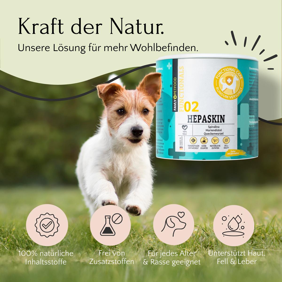 Ein kleiner Hund läuft auf Gras von FAVLY Petfood HEPASKIN Pulver - Haut, Fell & Entgiftung, mit deutschem Text und Icons.