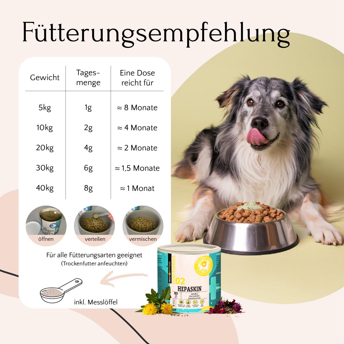 Ein glücklicher Hund mit HEPASKIN Pulver von FAVLY Petfood für Haut, Fell & Entgiftung sitzt an seinem Futternapf.