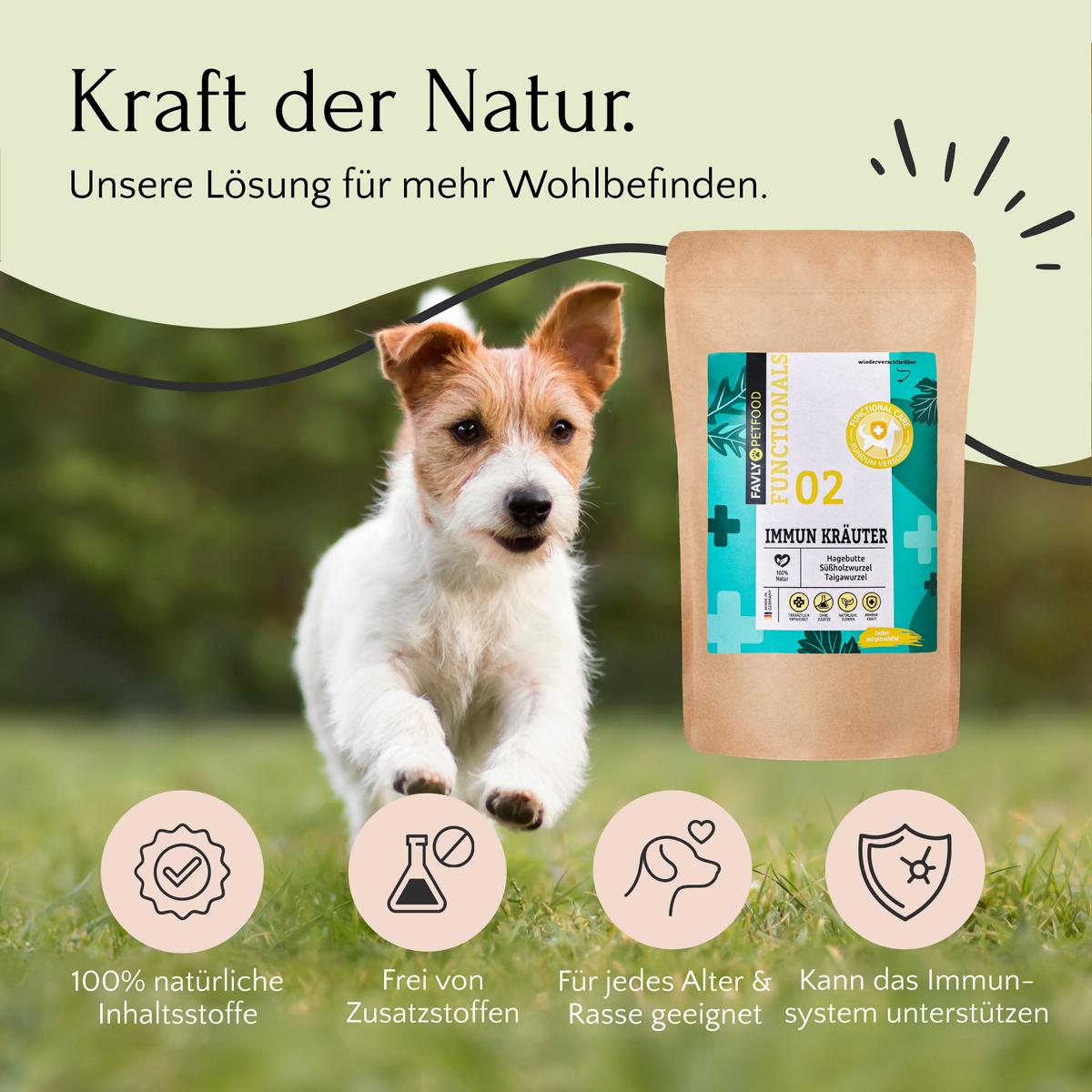 Ein Hund läuft fröhlich mit einer Packung Nahrungsergänzungsmittel mit der Aufschrift „IMMUN Kräuter – Abwehrkräfte & Immunsystem“. Der deutsche Text und die Symbole von FAVLY Petfood betonen die natürlichen, zusatzstofffreien Vorteile zur Stärkung der Abwehrkräfte und zur Unterstützung eines starken Immunsystems.