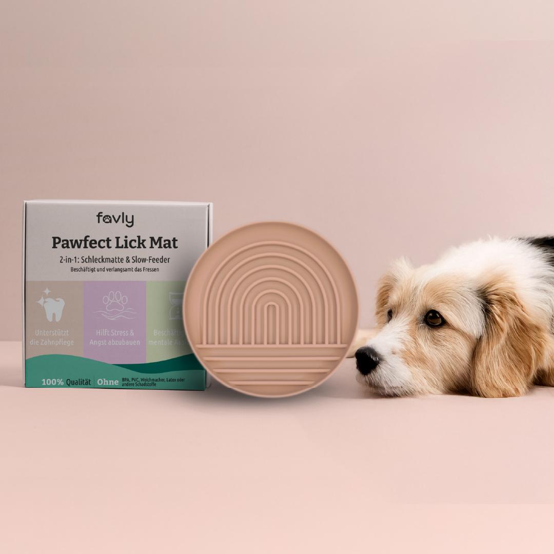 Ein Hund liegt neben einer FAVLY Petfood Pawfect Lickmat - Schleckmatte Box auf einer hellen Fläche.