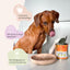 Brauner Hund leckt sich die Nase neben einer Pawfect Lickmat - Schleckmatte von FAVLY Petfood und einer offenen Dose.